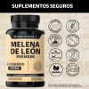 Hongo Melena De León | Extracto Proveniente Del Micelio Con