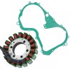 For Arctic Cat Stator & Gasket for Arctic Cat 250