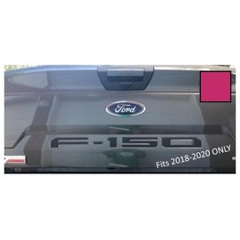Decal Mods 2018-2020 Tailgate Insert Decals Letters Inlays Indent Stickers (Thin) for Ford F150 (2018-2020) (Hot Pink) - CHOTPINK