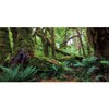 AWERT 36x18 inches Tropical Forest Terrarium Background Green Huge Tree