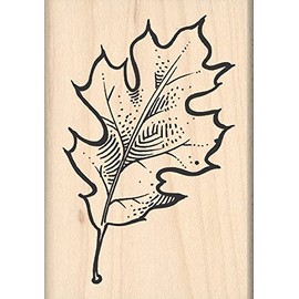 Stamps by Impression Oak Leaf Rubber Stamp 983