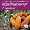 Wilderness Poets Organic Cacao Paste - Made from Stone Ground,