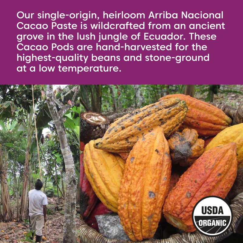 Wilderness Poets Organic Cacao Paste - Made from Stone Ground,