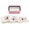 Skater SLUS3AG-A Antibacterial Seal Container, Storage Container, Kiki's Delivery Service,