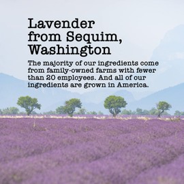 Lavender Chamomile Mint Sleepynight Tea, 100+ Servings, Eco-Conscious Zip Pouch, Caffeine Free, Pure Loose Leaf Tea Grown in America, 14.0 Ounce (Large)