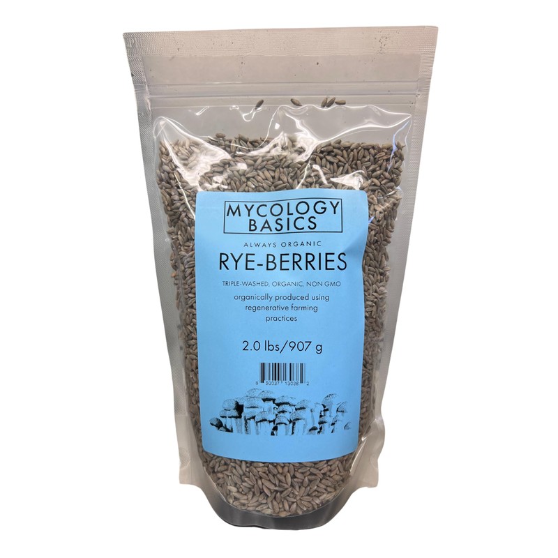 Bulk Rye Berries - Certified 100% Organic - Extra Clean