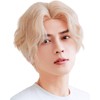 TefuRe Men's Wig, Rough, Casual Style, Perm, Center Part Short