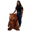 Teddy Babys Oso Pardo Sentado Escandaloso Peluche Ultrasuave X 1
