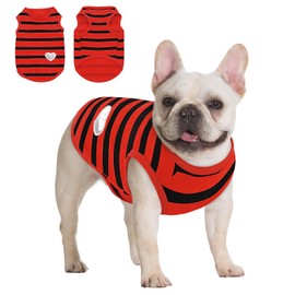 Queenmore Small Dog Shirt,Soft Breathable Dog Shirt for Dogs Cats Boy Girl,Pet Clothes for All Season,Breathable Lightweight Pet Tshirt for Frenchie, Dachshund, Yorkie