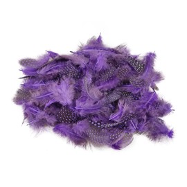 Netuno Pack of 150 Purple Decorative Feathers, 6 g, Guinea Fowl Feathers, Dotted Feathers, Jewellery Feathers, Bird Feathers, Crafting Feathers, Natural, for DIY Craft Decorations, Easter, Christmas Decorative Figures Figure