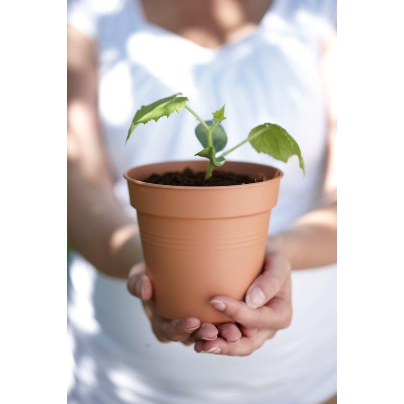 Elho Green Basics Growpot 21 - Growpot - Mild Terra