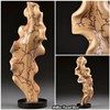 15kV Lichtenberg Wood Burning Machine Fractal Wood Burning Machine Kit
