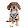 Puppia Spring and Summer Fashion Over-The-Head Dog Harness, Black_Baba, Medium