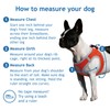 DOCO Dog Harness │ Athletica Puppy Harness for Small Dogs