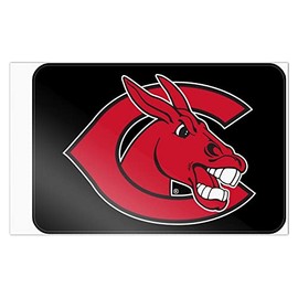 University of Central Missouri Secondary Logo Home Business Office Sign - Window Sticker - 12" x 18" (30.5cm x 45.7cm)