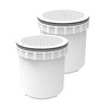 InvisiClean Water Pitcher Replacement Filter (2)