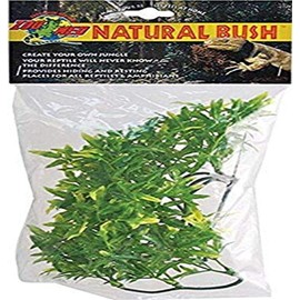 Zoo Med Laboratories SZMBU15 Natural Bushy Bolivia Croton, Small