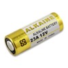 Fenzer 21/23 12V Alkaline Battery, 2 Count Pack, A23, A23E,