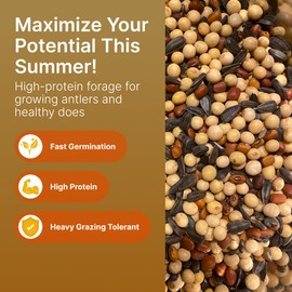HIT LIST SEED® Summer Food Plot Seeds for Deer [ANNUAL MIX] - Deer Food Plot Seed Summer Blend - Deer Plot Seed Mix - Soybeans, Sunflowers, Cow Peas, Buckwheat - Summer Planting - High Protein - 5 lbs