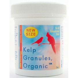 Morning Bird Kelp Granules, Nutritional Supplement for Birds (1 oz)