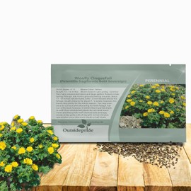 Outsidepride Cinquefoil Gold Sovereign Potentilla Seeds - 500 Pcs Perennial Flower Seeds, Easy to Grow with Compact Height for Containers, Ground Cover, Borders & Edging, Rock or Pollinator Garden