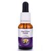 Living Essences Blue China 100ml