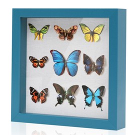 Muzilife 8x8 Shadow Box Picture Frame with Linen Board - Deep Wood & Glass Display Case to Hang Memory Box Baby Sports Memorabilia, Pins, Awards, Medals, Wedding, Tickets and Photos, Teal