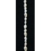 Extra Long Hawaiian Tahitian White Dove Shell Leis -12 Single