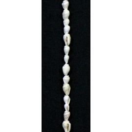 Extra Long Hawaiian Tahitian White Dove Shell Leis -12 Single Leis -50" around
