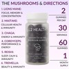 L2 HEALTH Advanced Blend Mushroom Gummies, Lions Mane, Cordyceps, Chaga,