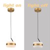 DANSEER Mid Century Modern Gold LED Pendant Light, Mini Hanging