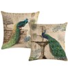 ULOVE Love Yourself 2Pack Peacock Throw Pillow Covers Only Decorative