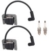 Hipa 24 584 45-S Ignition Coil Replace 24-584-01S Compatible with
