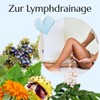 Grreen Idea - Lymforegen Gel - Lymphatic Drainage and Drainage