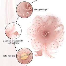 Valentines Gift Fascinator Hats for Women Tea Party Hats Derby Hats for Women Kentucky Derby Church Wedding Hats 2024 Fascinator Hat for Women Fascinator Hats for Women Tea Party Tea Party Hatt