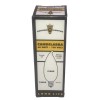 HORIZON 60 WATT FLAME BULB, CANDELABRA BASE, CLEAR. LONG LIFE,