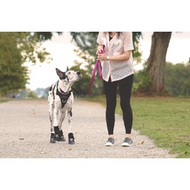 RC Pets Strider Dog Boot, Water Resistant, Paw Protection, X-Small