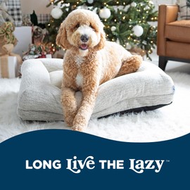 La-Z-Boy Petmate Rosie Lounger Large Dog Bed Cream 36x28 Inches for Dogs up to 50lbs with Durable Removable Washable Cover