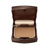 est Illuminating Powder Foundation RS101