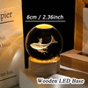 Whale Gifts for Women Men 3D Whale Girl Crystal Ball