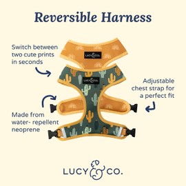 Lucy & Co. Looking Sharp, Cute Reversible Dog Harness Walking Halter - Best Designer Pet Harnesses for Medium Dogs - Padded Adjustable Vest for Easy Walking (Small)