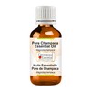 Greenwood Essential Pure Champaca Essential Oil (Magnolia champaca) Natural Therapeutic