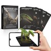 Tarjetas Dinosaurio 4D+ con Realidad Aumentada de Octagon Studio: ¡Descubre