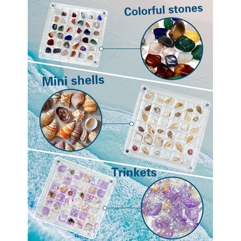 Seashell Display Box – 36 Grid Clear Acrylic Shell Holder