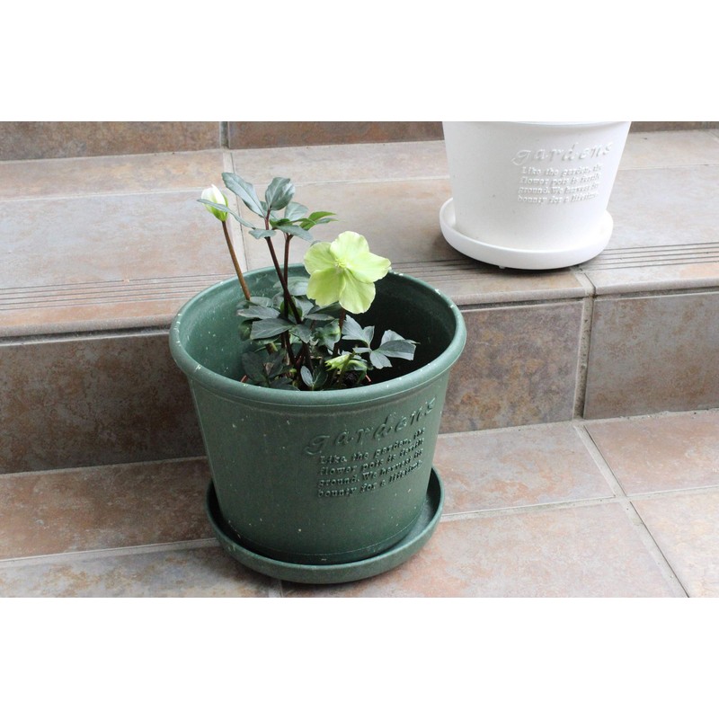 Gardens Eco Pot Series