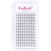 Volume Eyelash Extensions 8D 0.07 Premade Lash Fans D Curl