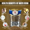 TAJ Moth Beans Whole 4-Pounds | Matki Beans