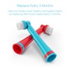 Brusheez Electronic Toothbrush Replacement Brush Heads 2 Pack (Pepper The