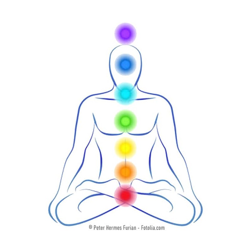 Erdung Bioenergetic, Energetic & Subtle Globules. Harmony through the Vibration