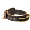 Dean and Tyler SIMPLICITY, Leather Dog Collar with Handle and